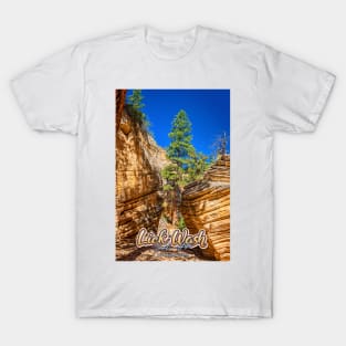 Lick Wash Trail Hike T-Shirt